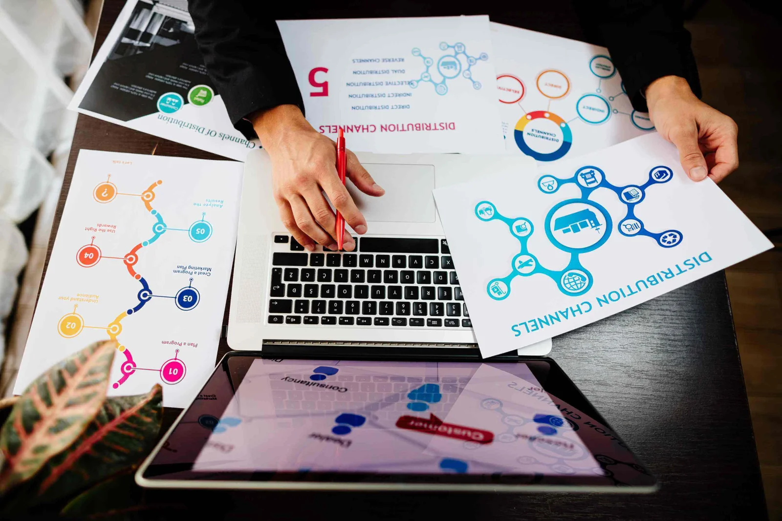 A digital marketing expert working on paid ads for dog trainers in Florida.